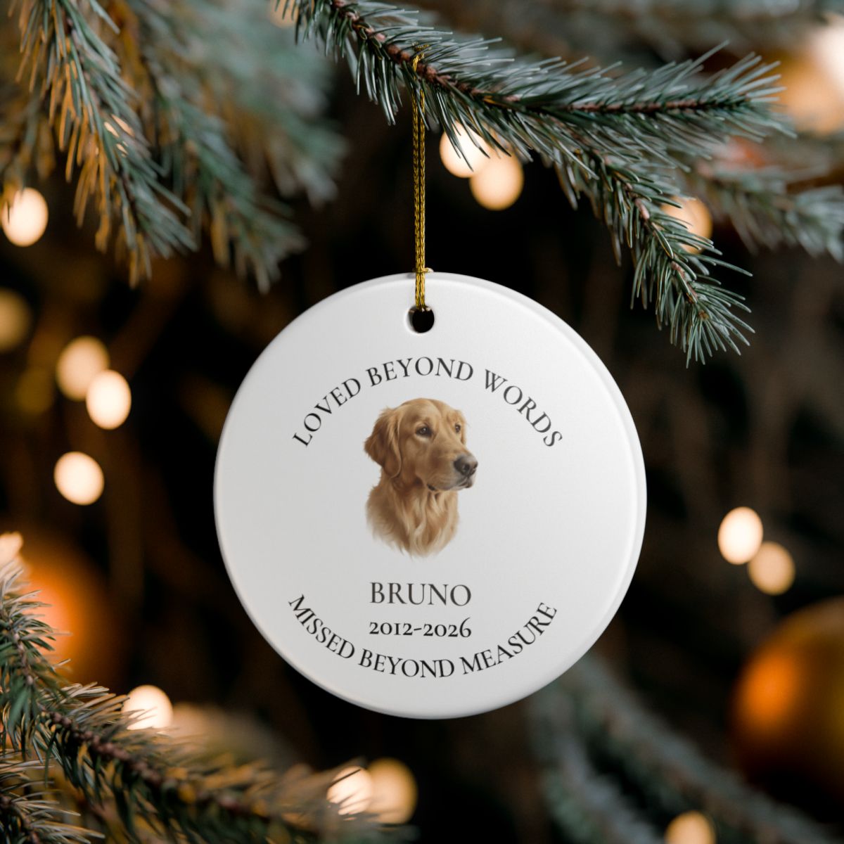 Personalized Painted Pet Memorial Ornament – Loved Beyond Words