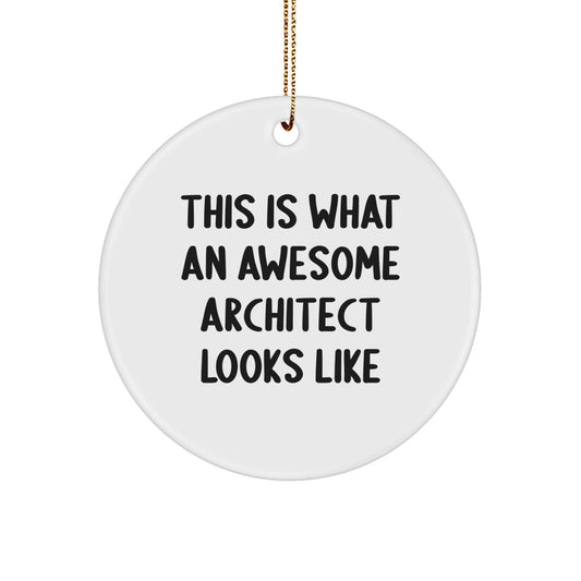 Architect Circle Ornament Funny Quotes This Is What An Awesome Architect Looks Like Gifts for Men Women Friends Family Christmas Unique Presents - Image 1