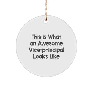 Funny Vice-principal Gifts from Friends, Cute Circle Ornament for Vice-principal, Christmas Unique Vice-principal Office Decorations, This Is What An Awesome Vice-principal Looks Like Quote - Image 1