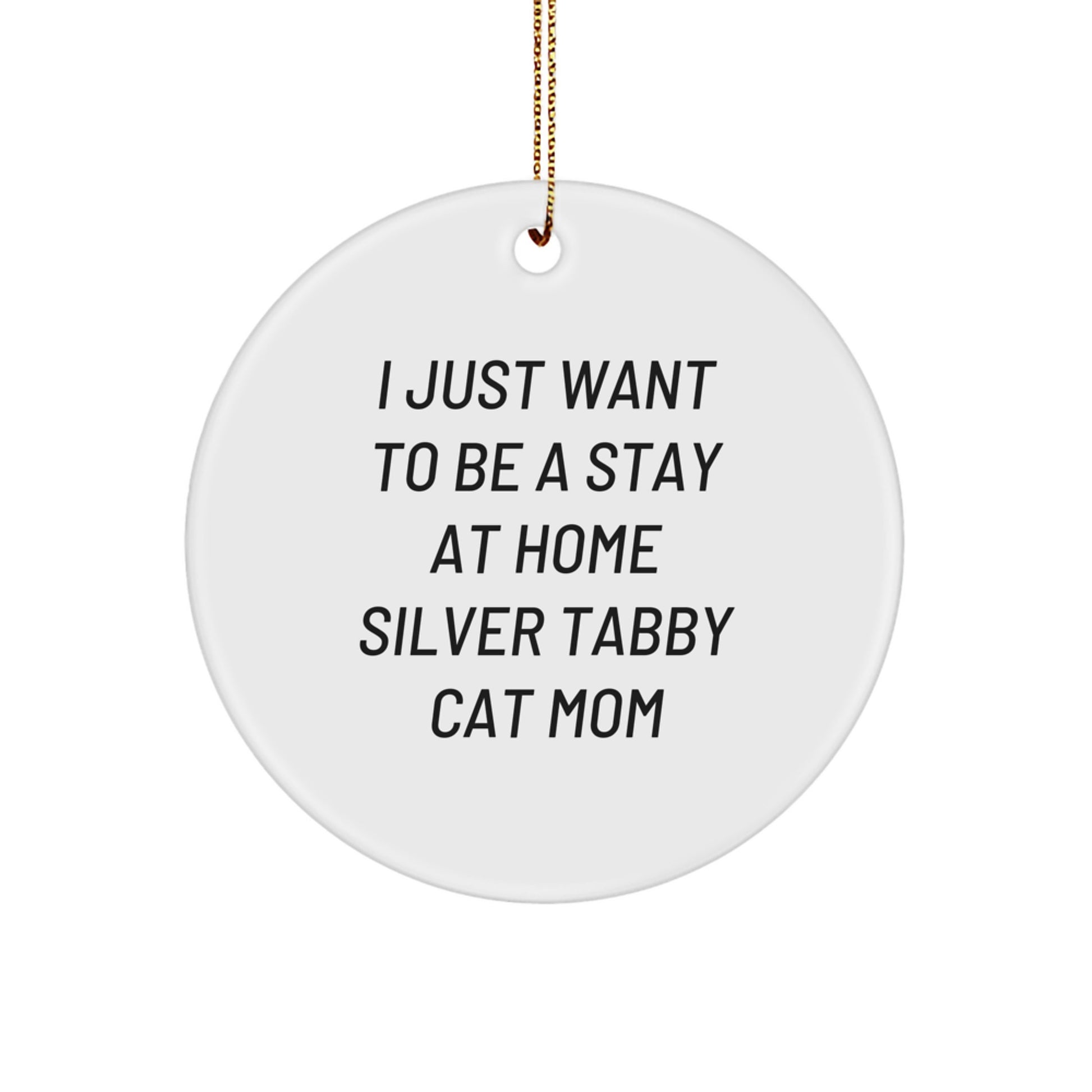 Funny Silver Tabby Cat Gifts for Silver Tabby Cat Moms, Circle Ornament with Inspirational Quote, Ideal Gifts from Family to Friends, Unique Christmas Unique Gifts for Cat Lovers - Image 1