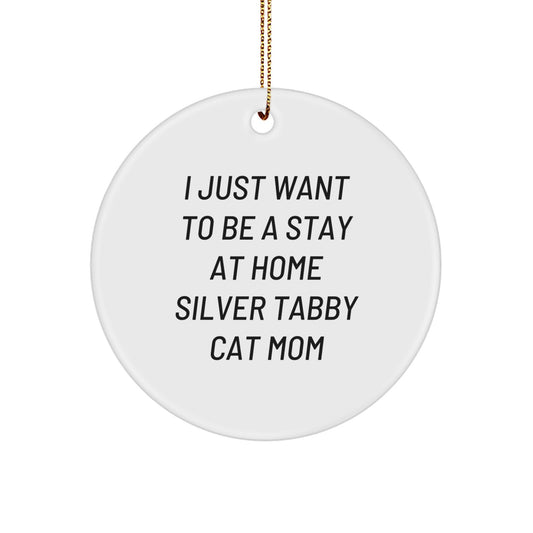 Funny Silver Tabby Cat Gifts for Silver Tabby Cat Moms, Circle Ornament with Inspirational Quote, Ideal Gifts from Family to Friends, Unique Christmas Unique Gifts for Cat Lovers - Image 1