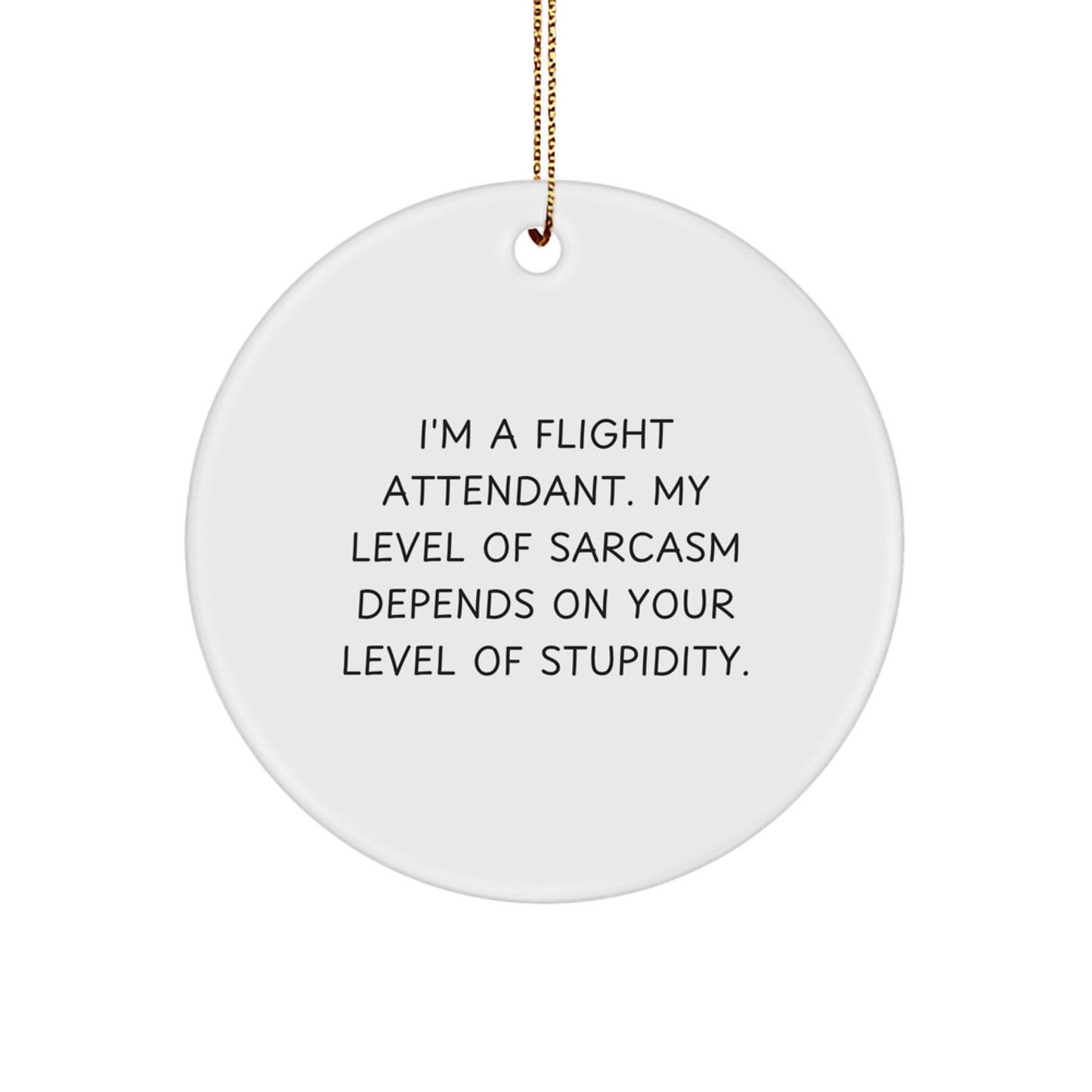Funny Flight Attendant Gifts from Friends for Men and Women Christmas Unique Circle Ornaments with Sarcastic Humor Quote - Gifts for Flight Attendants - Image 1
