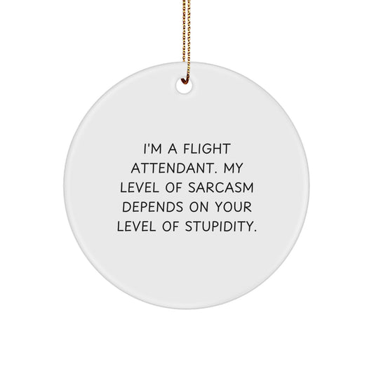 Funny Flight Attendant Gifts from Friends for Men and Women Christmas Unique Circle Ornaments with Sarcastic Humor Quote - Gifts for Flight Attendants - Image 1
