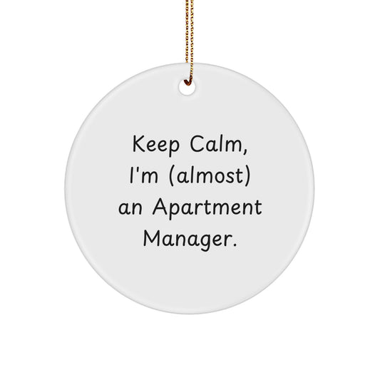 Christmas Gift for Her Ornament Keep Calm, I'm (Almost) Apartment - Image 1