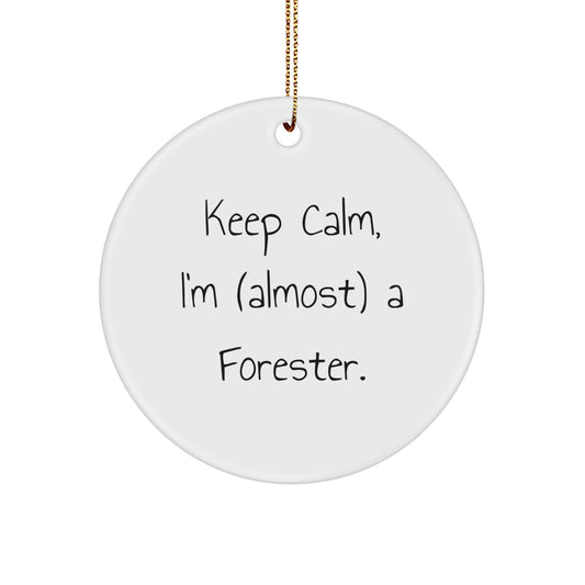 Forester Ornament Gift for Coworkers Keep Calm, I'm (Almost) a Forester - Image 1