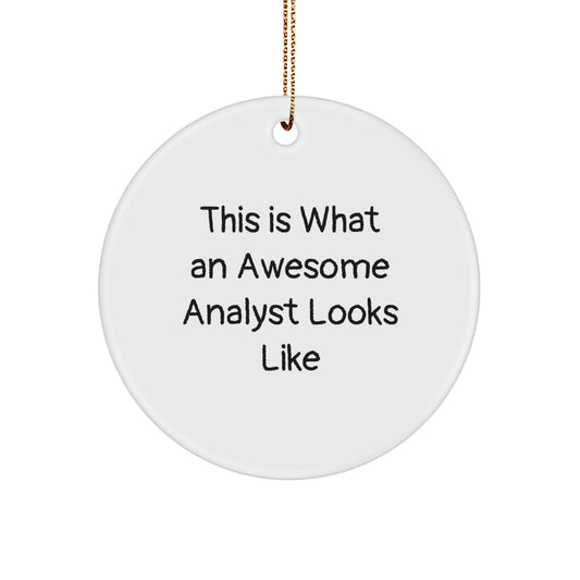 Funny Analyst Gifts from Friends and Family, Christmas Unique Circle Ornament for Men Women Coworkers, This Is What 'An Awesome Analyst' Looks Like - Image 1