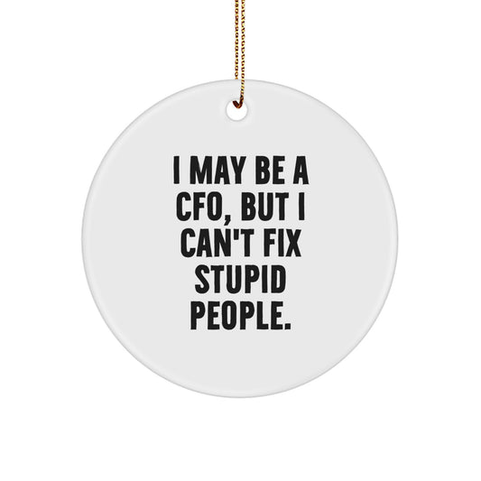 CFO Gifts Funny Quote Circle Ornament From Friends, For CFO, Men, at Christmas - 'I May Be A Cfo, But I Can't Fix Stupid People.' - Image 1