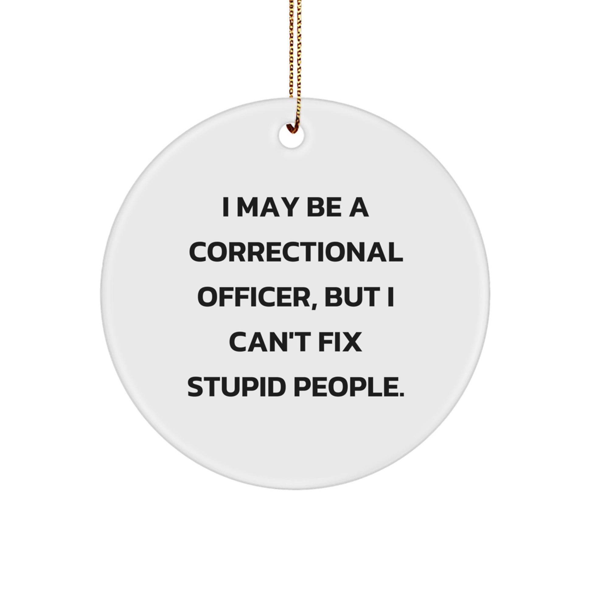 Correctional Officer Gifts from Friends, Inspirational Christmas Circle Ornament with 'I May Be A Correctional Officer, But I Can't Fix Stupid People.' Quote, Unique Men's or Women's Present - Image 1