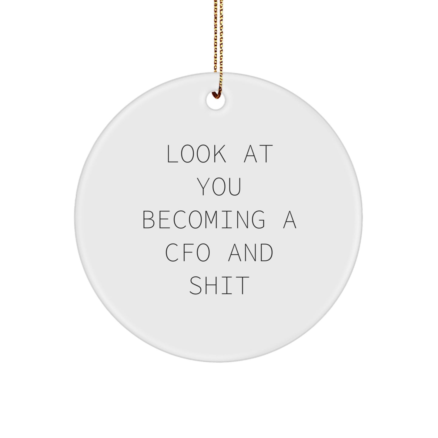 Funny CFO Gifts for Men, 'Look At You Becoming A CFO And Shit' Circle Ornament, Christmas Unique Gifts from Friends, Coworkers, or Family - Image 1