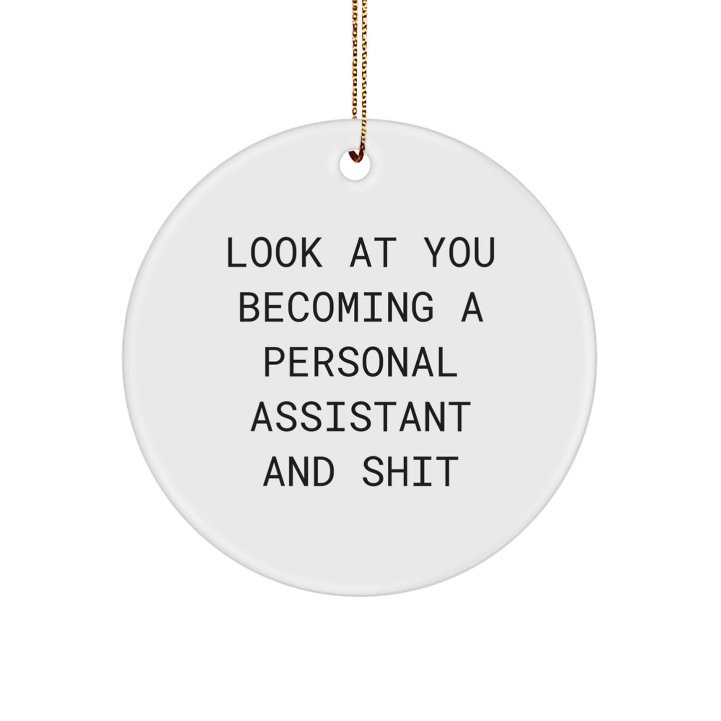 Funny Personal Assistant Gifts from Friends for Christmas - Circle Ornament, Look At You Becoming A Personal Assistant And Shit - Image 1