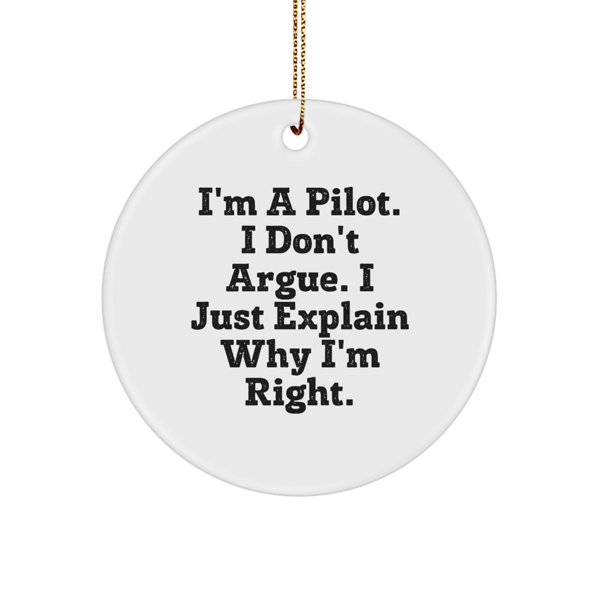 Pilot Gifts, Funny Circle Ornament, I'm A Pilot, Gifts from Friends for Christmas - Image 1