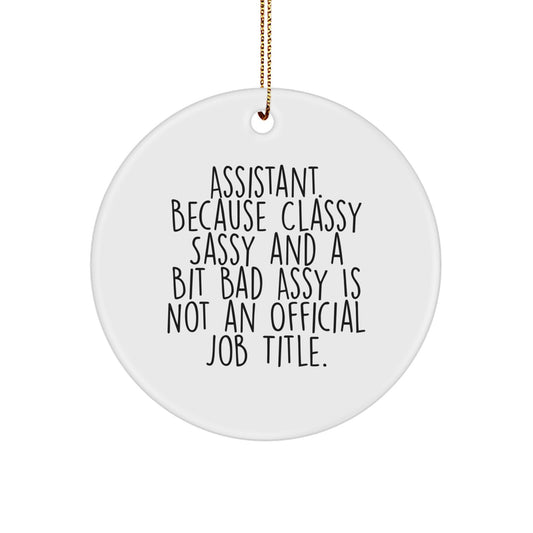 Funny Assistant Gifts, 'Assistant Because Classy Sassy And A Bit Fearlessy Is Not An Official Job Title.' Circle Ornament, Gifts from Friends, Gifts for Assistant, Christmas Unique Gifts - Image 1