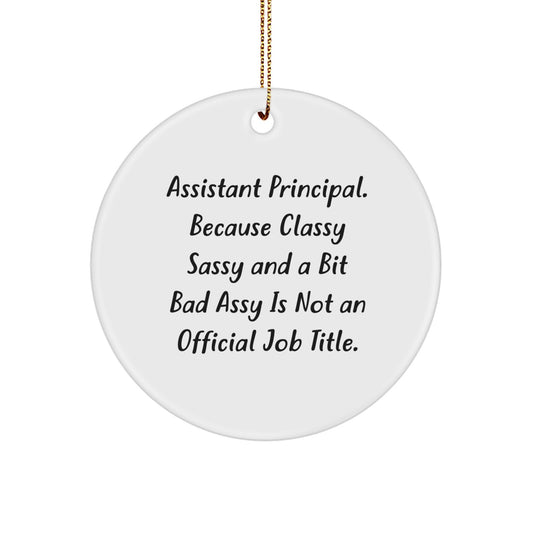 Funny Assistant Principal Gifts, Circle Ornament, Gifts from Men, Women, or Coworkers, for Assistant Principal, Christmas Unique Gifts, Decorations - Image 1