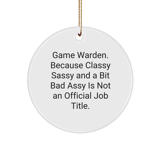 Funny Game Warden Gifts from Men, Christmas Unique Gifts for Game Wardens, Circle Ornament Quote - Classy Sassy And A Bit Fearlessy Is Not An Official Job Title. - Image 1