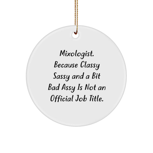 Funny Mixologist Gifts from Friends for Women Unique Circle Ornaments Christmas Decorations - Image 1