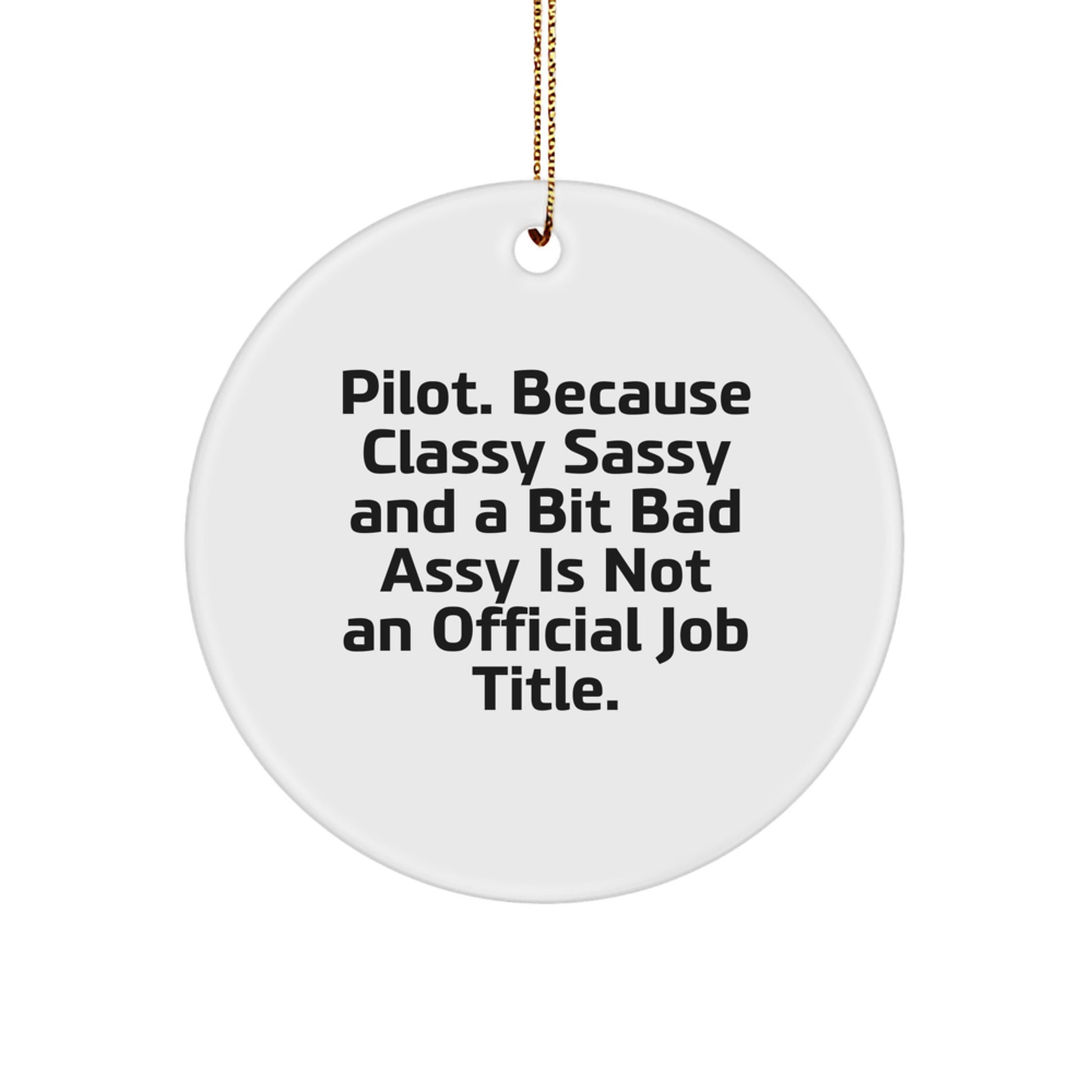 Pilot Gifts Christmas Circle Ornament for Men Funny Quote Gifts from Friends, Pilot Lover Gifts for Christmas Unique - Image 1