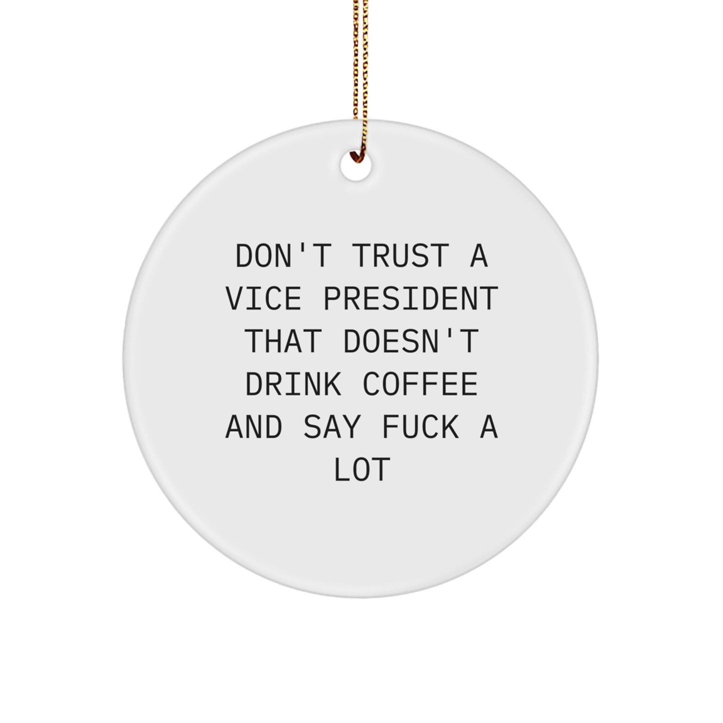 Funny Vice President Gifts, Christmas Unique Gifts for Men from Friends, Office Vice President Circle Ornament with Gold Cord - Image 1
