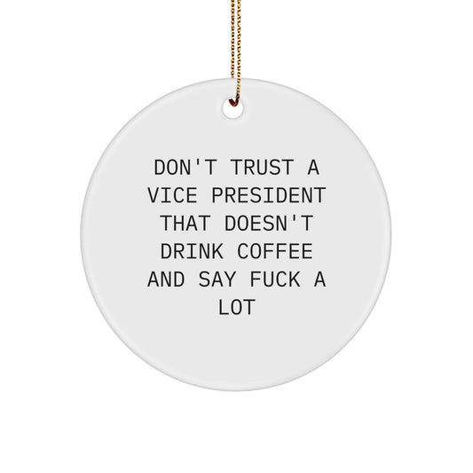 Funny Vice President Gifts, Christmas Unique Gifts for Men from Friends, Office Vice President Circle Ornament with Gold Cord - Image 1
