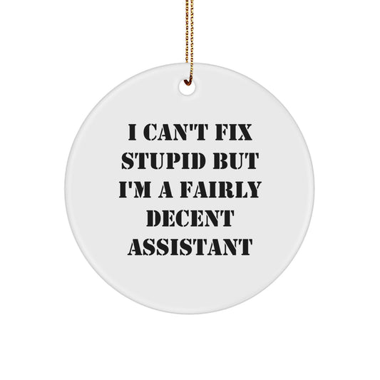 Funny Assistant Circle Ornaments Gifts from Friends, Coworkers, Family - I Can't Fix Stupid But I'm A Decent Assistant Christmas Unique Gifts - Image 1