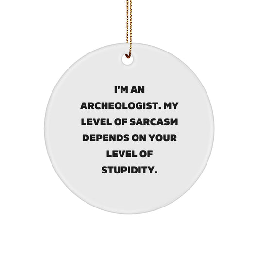Funny Archeologist Gifts, Circle Ornament, 'Sarcasm Depends On Your Stupidity' Quote, Perfect for Archeology Lovers, Gifts for Family and Friends at Christmas - Image 1