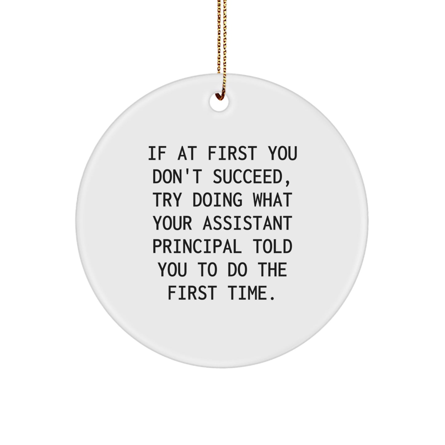 Funny Assistant Principal Gifts for Men - Circle Ornament, Christmas Unique Gifts from Friends - If At First You Don't Succeed Try Doing What Your Assistant Principal Told You To Do The First Time - Image 1