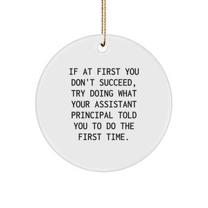 Funny Assistant Principal Gifts for Men - Circle Ornament, Christmas Unique Gifts from Friends - If At First You Don't Succeed Try Doing What Your Assistant Principal Told You To Do The First Time - Image 1