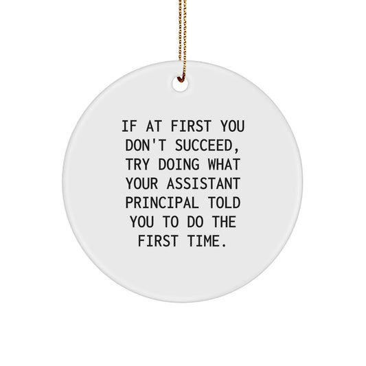 Funny Assistant Principal Gifts for Men - Circle Ornament, Christmas Unique Gifts from Friends - If At First You Don't Succeed Try Doing What Your Assistant Principal Told You To Do The First Time - Image 1