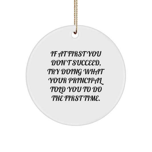 Funny Principal Gifts for Christmas - If At First You Don't Succeed, Try Doing What Your Principal Told You To Do The First Time Circle Ornament for Men Women Friends Coworkers Family - Image 1