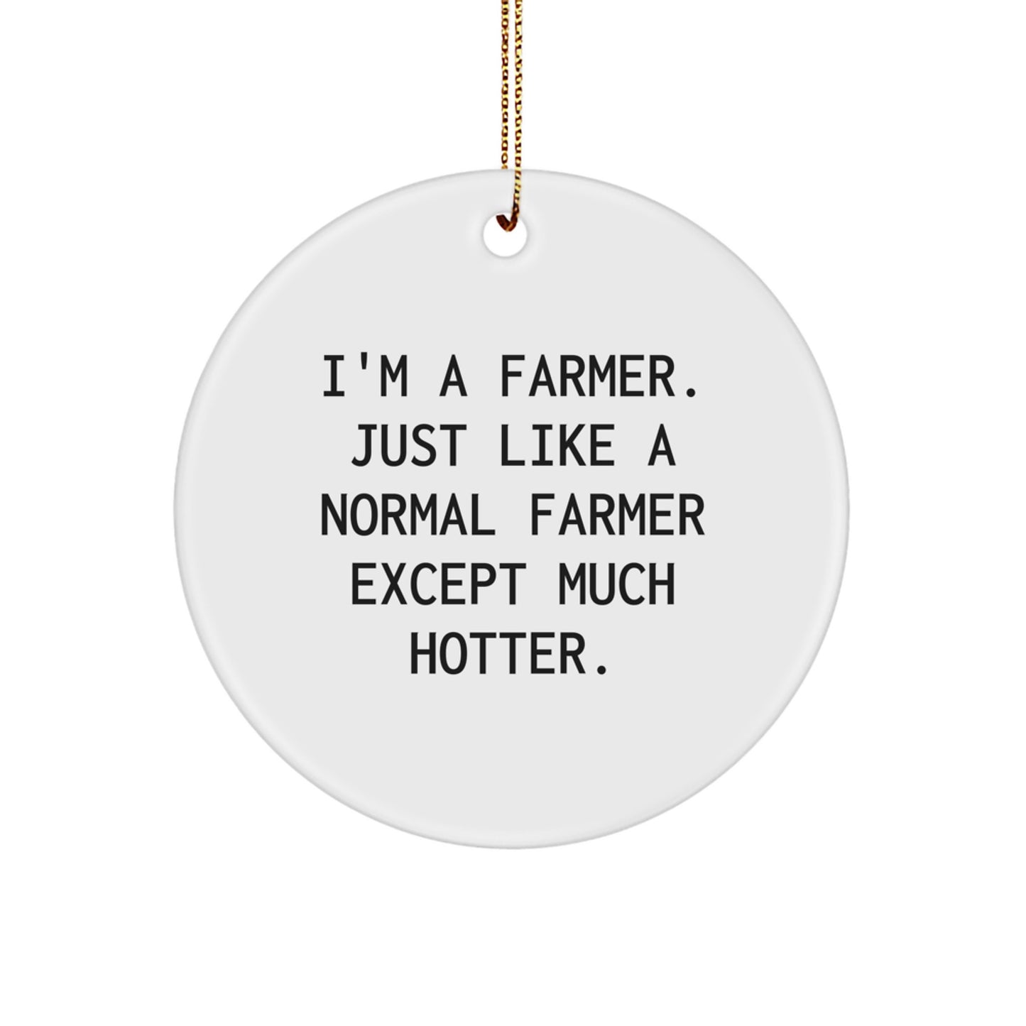 Farmer Gifts from Friends - I'm A Farmer. Just Like A Normal Farmer Except Much Hotter. Christmas Circle Ornament for Men, Women, Family, and Coworkers - Image 1
