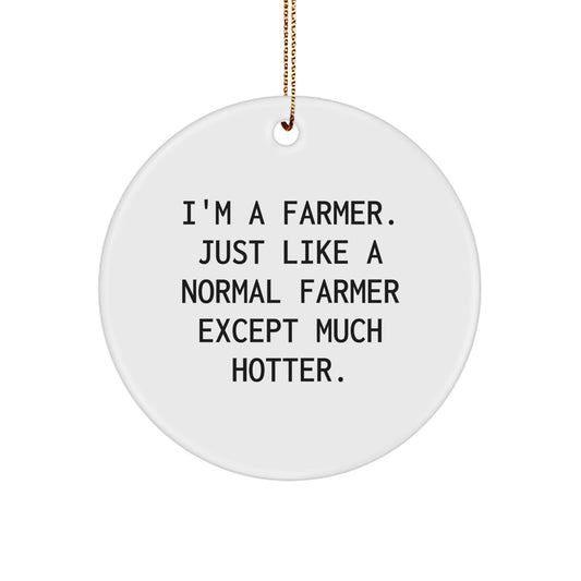 Farmer Gifts from Friends - I'm A Farmer. Just Like A Normal Farmer Except Much Hotter. Christmas Circle Ornament for Men, Women, Family, and Coworkers - Image 1