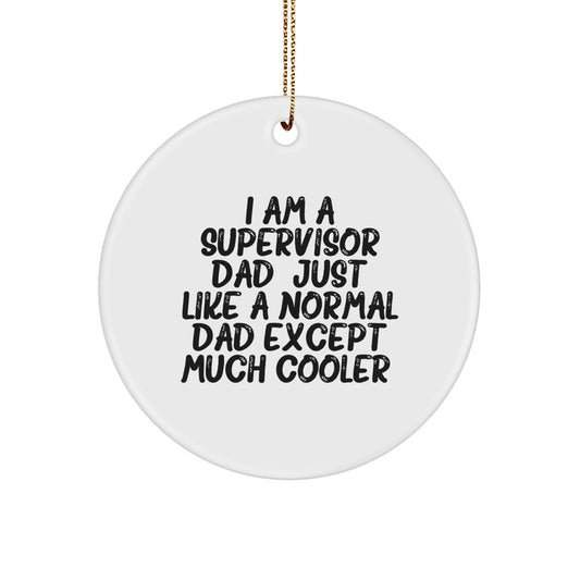 Funny Supervisor Dad Gifts from Men to Friends and Family - Christmas Unique Circle Ornaments for Supervisor Men - Image 1
