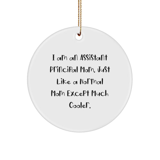 Assistant Principal Keepsake Christmas Ornament for Him Gift - Image 1