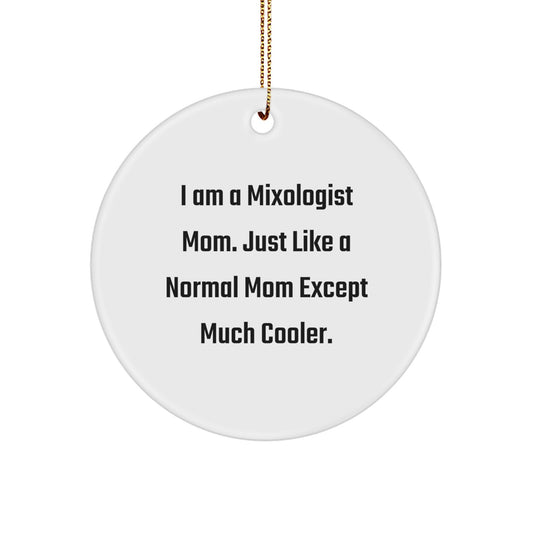 Funny Mixologist Gifts for Friends from Mom, Cute Circle Ornament, Christmas Unique Gifts for Women Mixologists - Image 1