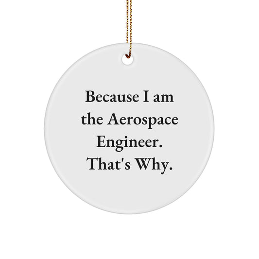 Aerospace Engineer Gifts from Friends, Funny Circle Ornament Because I Am The Aerospace Engineer. That's Why. Christmas Unique Decorations - Image 1