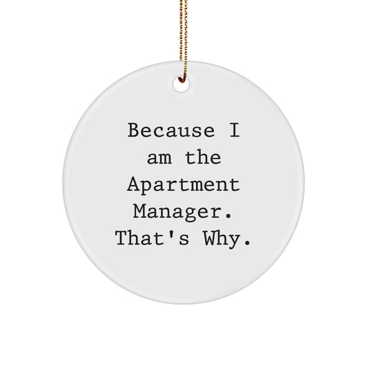 Apartment Manager Keepsake Holiday Christmas Ornament for Him Gift - Image 1