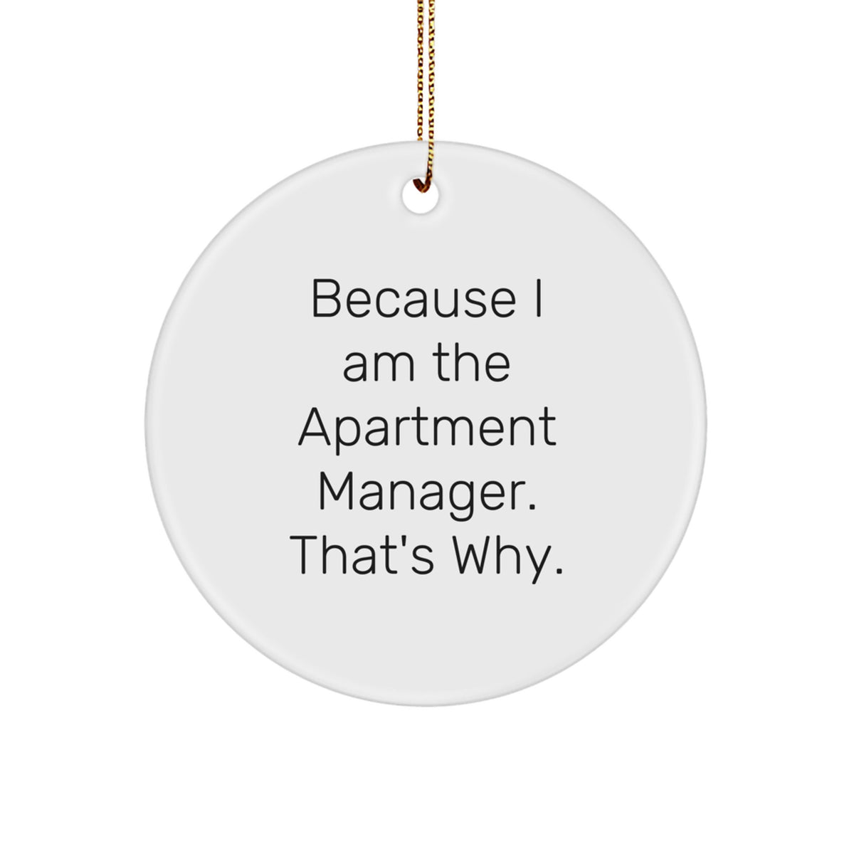 Christmas Gift for Her Apartment Manager Ornament Present - Image 1