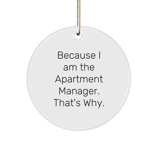 Christmas Gift for Her Apartment Manager Ornament Present - Image 1