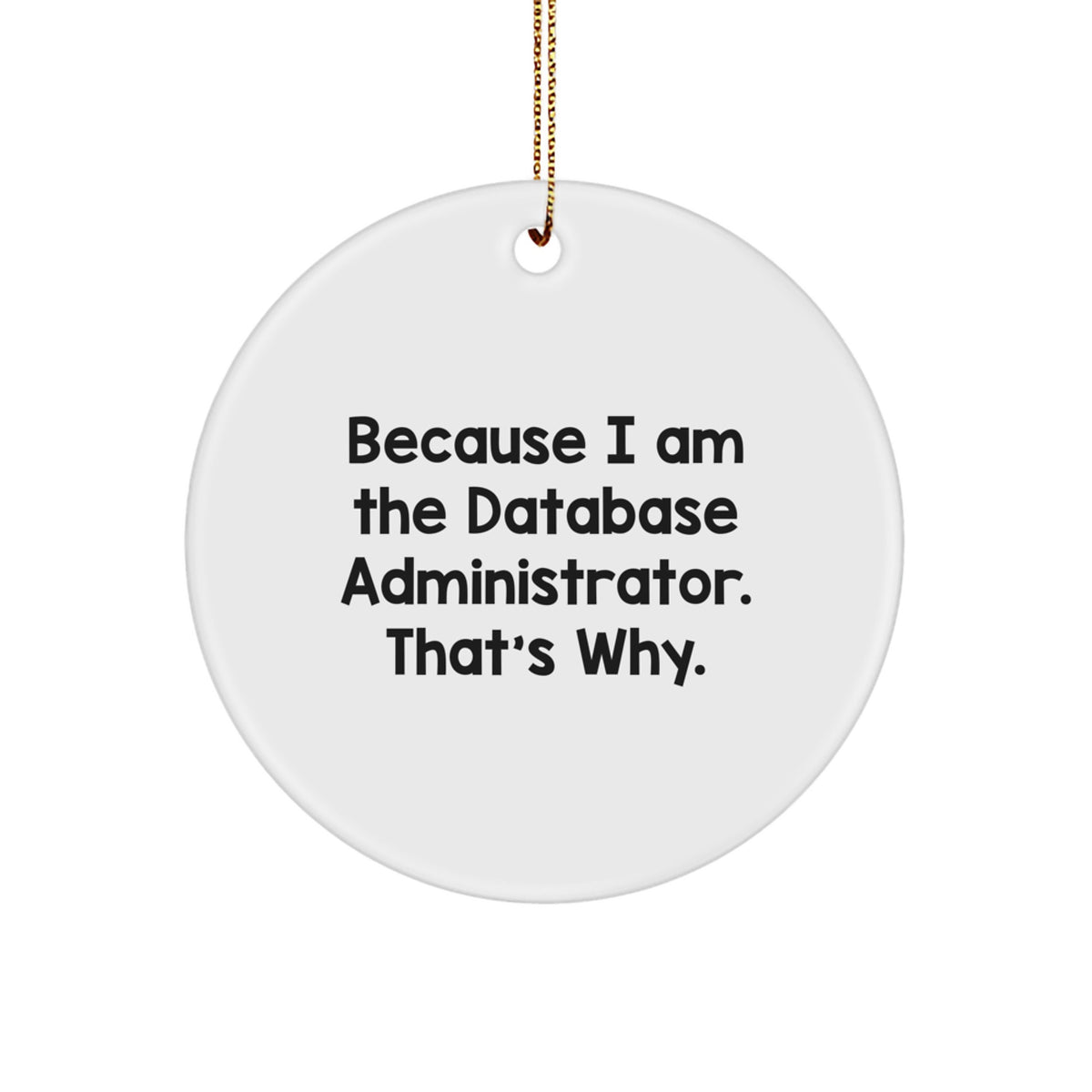 Favorite Database Administrator Christmas Ornament for Kids Gift - Image 1