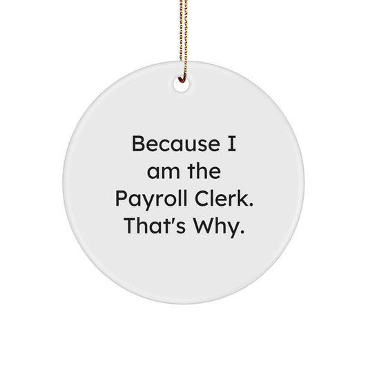 Christmas Gift for Her Payroll Clerk Present Ornament - Image 1