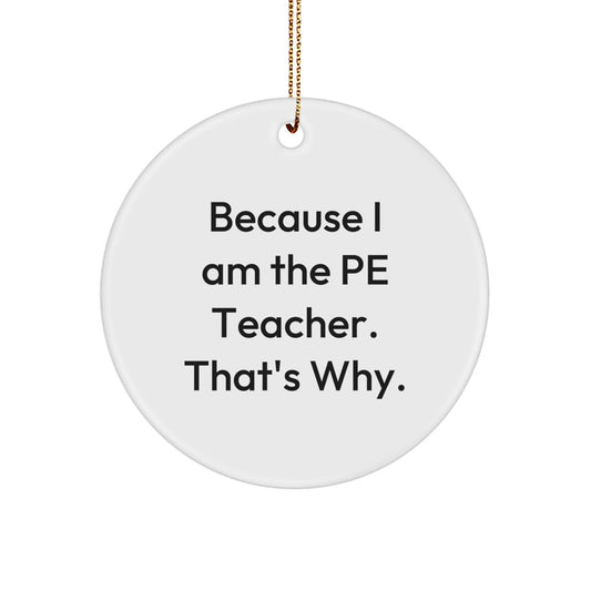 PE Teacher Treasure Christmas Ornament Gift for Family - Image 1