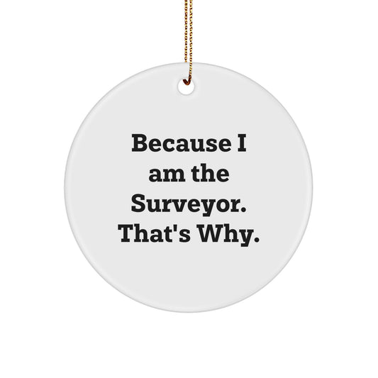 Christmas Gift for Her Surveyor Ornament Present - Image 1