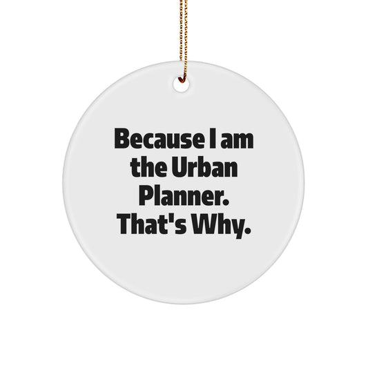 Urban Planner Gifts from Friends and Family, Funny Quote Circle Ornament for Men and Women, Christmas Unique Gifts for Urban Planner - Image 1