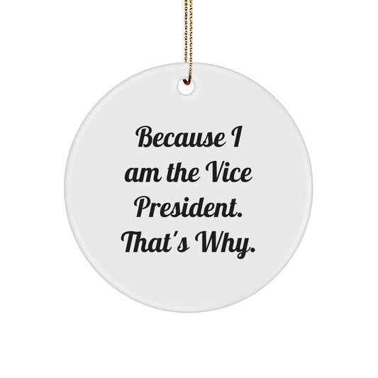 Christmas Ornament Gift for Teens Lighthearted Vice President Keepsake - Image 1