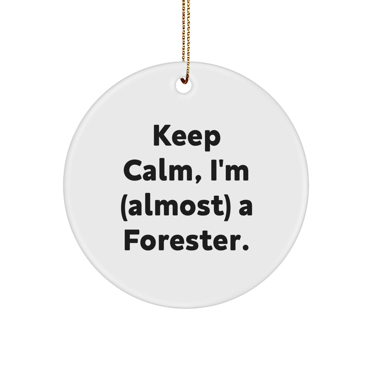 Forester Favorite Christmas Ornament for Kids Gift - Image 1