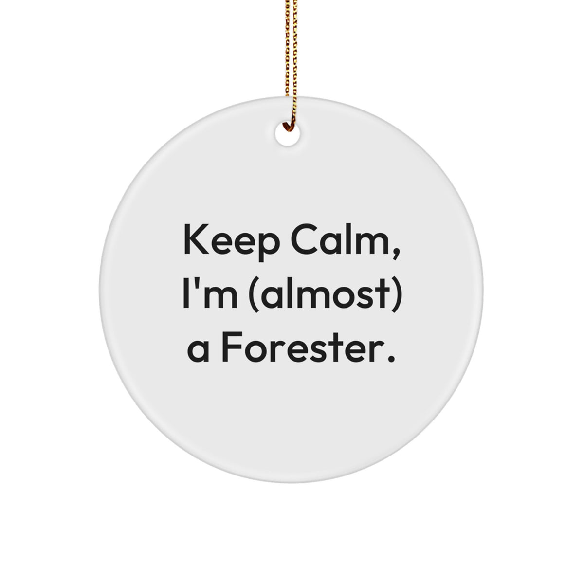 Forester Family Treasure Christmas Ornament Gift - Image 1