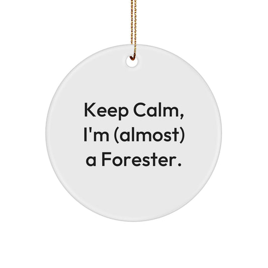 Forester Family Treasure Christmas Ornament Gift - Image 1