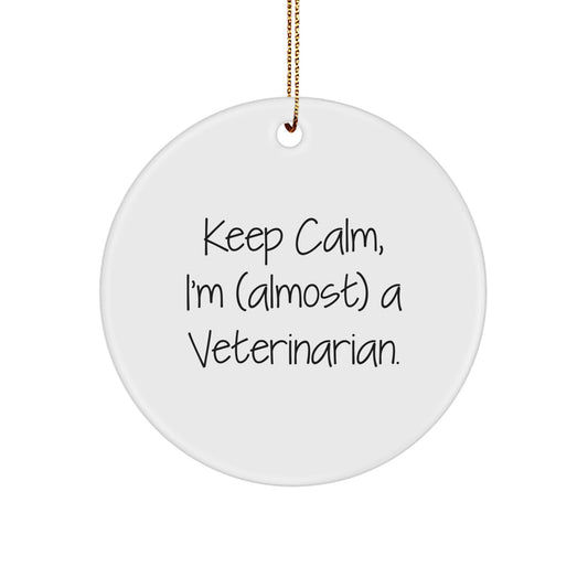 Veterinarian Favorite Circle Ornament for Kids Christmas Gift - Image 1