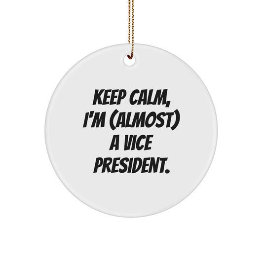 Vice President Christmas Ornament Collectible for Neighbors Gift - Image 1
