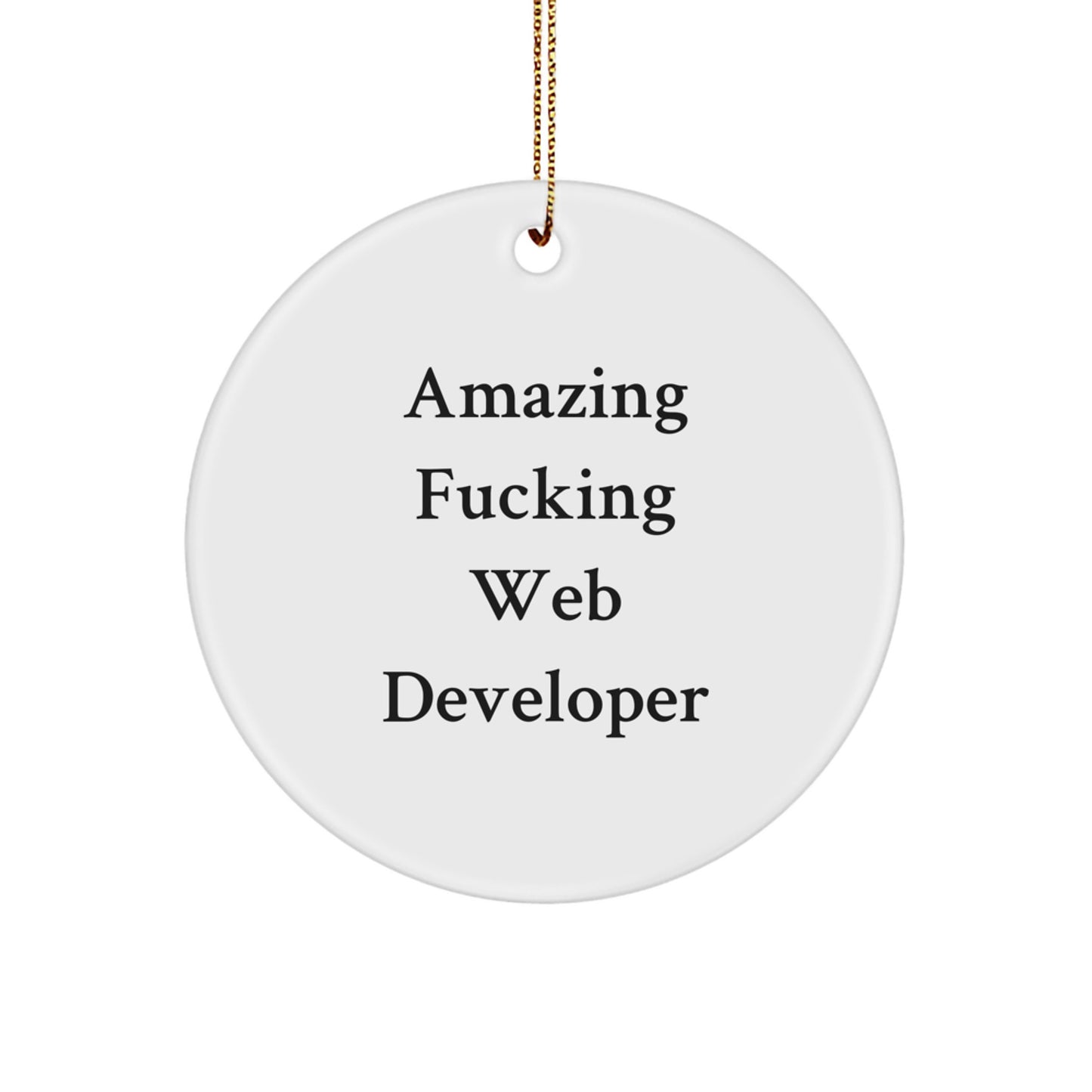 Funny Web Developer Circle Ornament Gifts from Men for Web Developer Friends - Image 1