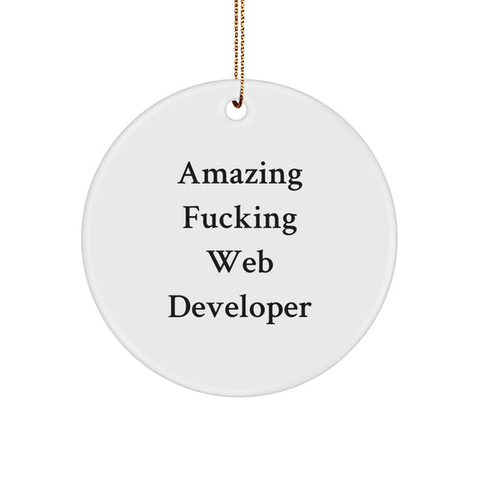 Funny Web Developer Circle Ornament Gifts from Men for Web Developer Friends - Image 1